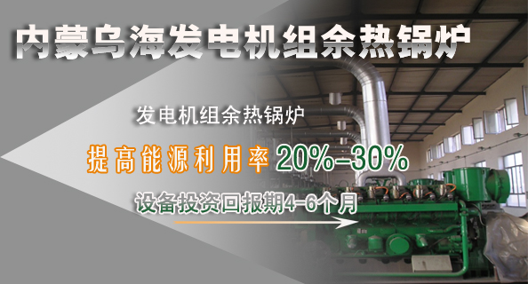 青島凱能鍋爐發電機組余熱鍋爐 青島凱能鍋爐發電機組余熱鍋爐