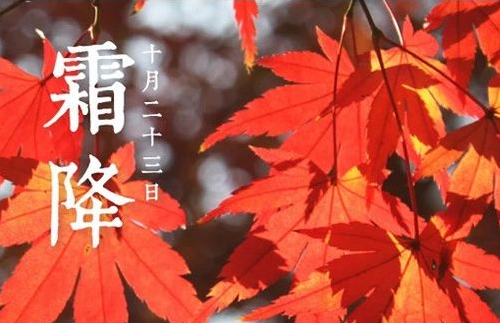 霜降時節注意保暖 霜降時節注意保暖