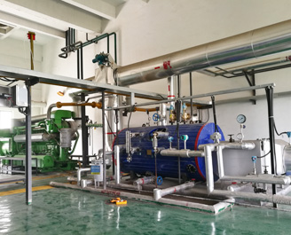 1000kW 沼氣發(fā)電機(jī)組余熱鍋爐 1000kW 沼氣發(fā)電機(jī)組余熱鍋爐